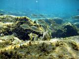 2009-09-08 13-46-03S